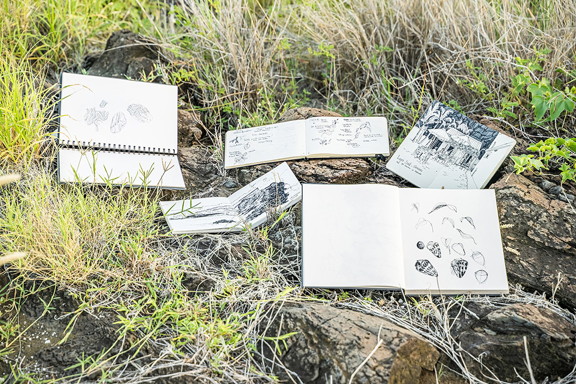 Carnet de croquis de terrain, montagne, bord de mer, littoral, savane. Paysage et biodiversité — dessin scientifique et naturaliste en plein air, Île de La Réunion