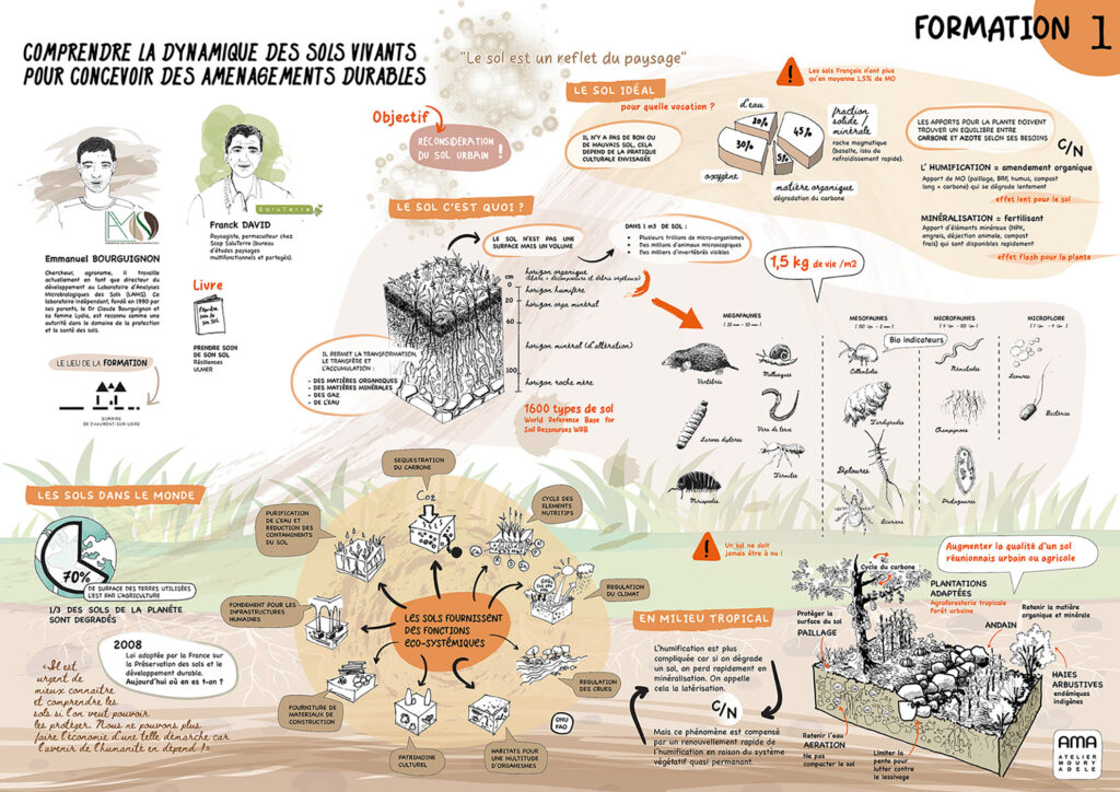 Panneau de facilitation graphique — synthèse visuelle d'une formation et d'un atelier participatif, Atelier Moury Adèle